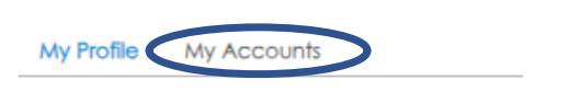 myaccounts picEN.png